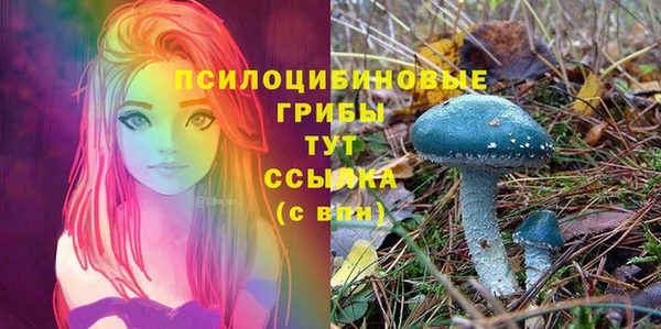 a pvp Богданович