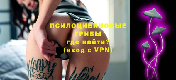 a pvp Богданович