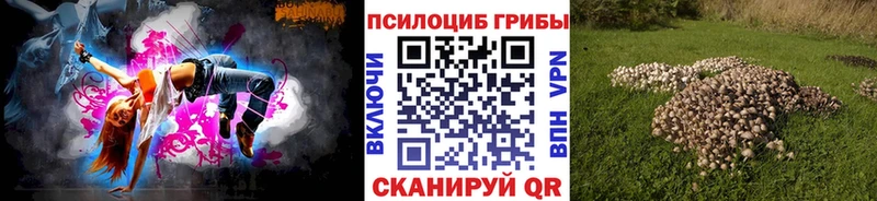 hydra вход  darknet какой сайт  Псилоцибиновые грибы Cubensis  купить закладку  Бийск 
